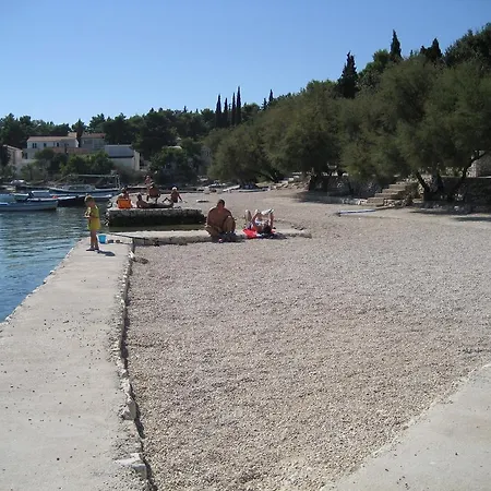 Adriatic Рогозница