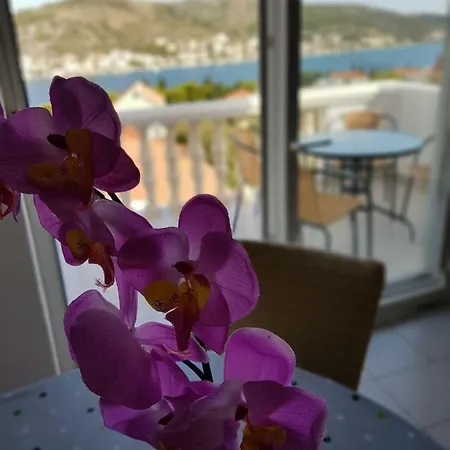 Apartmani Adriatic *